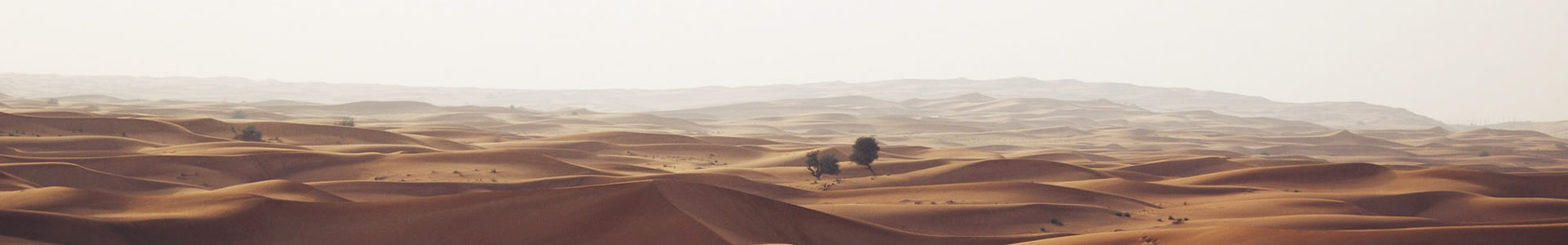 ݾ̨ζ޹˾
